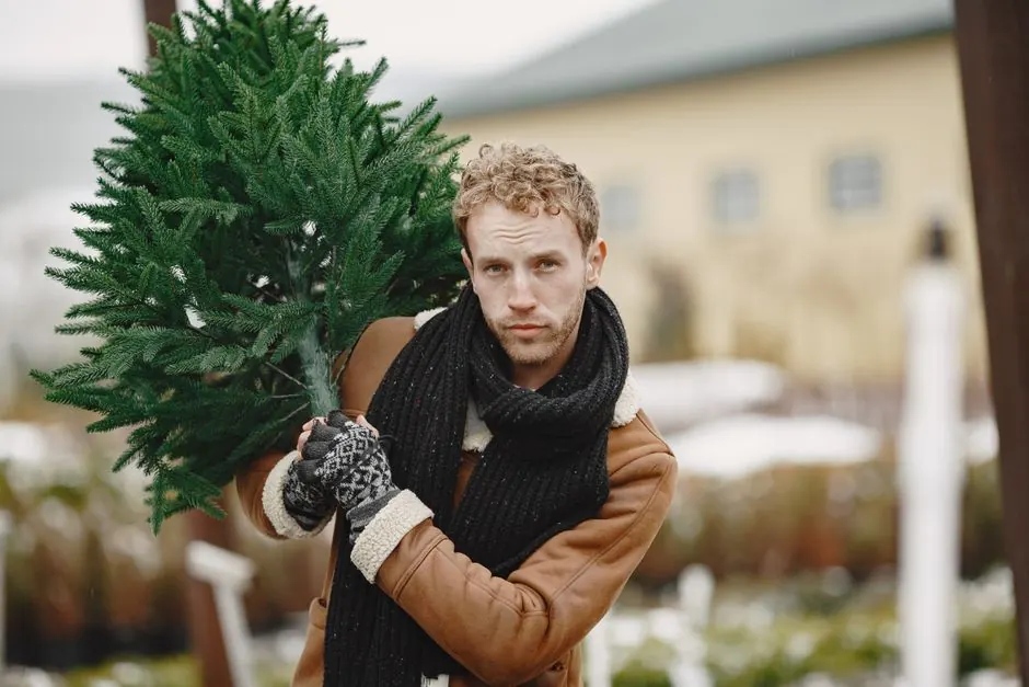 A man with curly hair carries a Christmas tree outdoors in a winter setting.