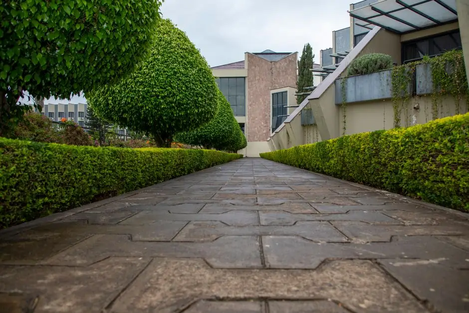 A symmetrical pathway flanked by neatly trimmed hedges leading to a modern building facade.