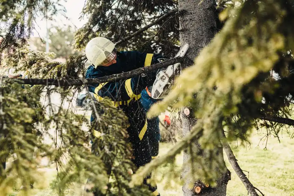 Chattanooga Tree Services Company technicians