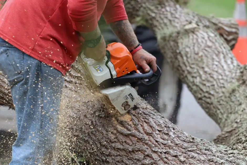 Mulching Services